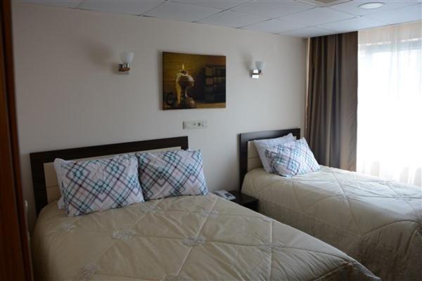 Sts Hotel Luleburgaz Rum bild